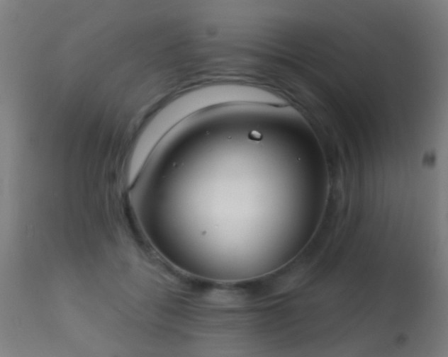 X0000113280556200909211042