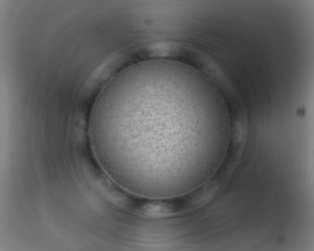 X0000113280557200909211042