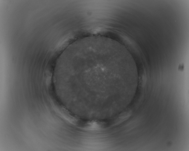 X0000113280558200909211042