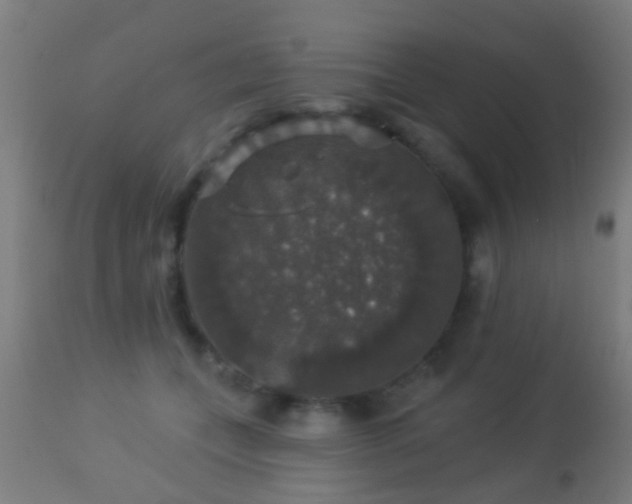 X0000113280559200909211042