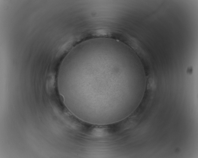 X0000113280560200909211042