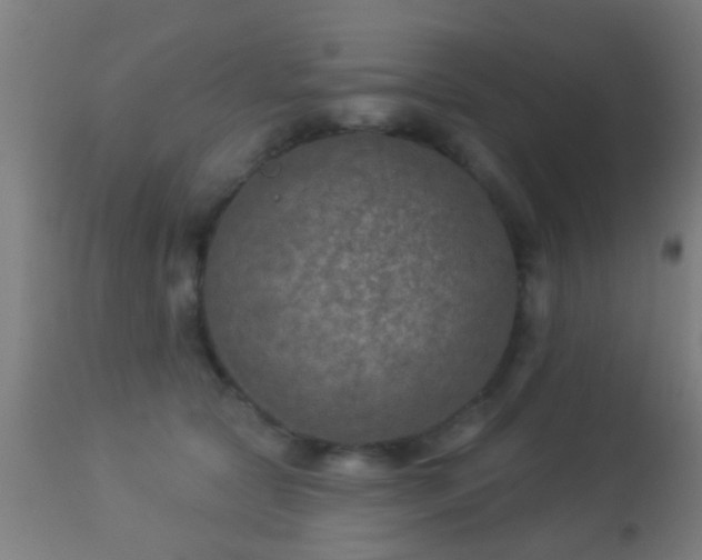 X0000113280561200909211042