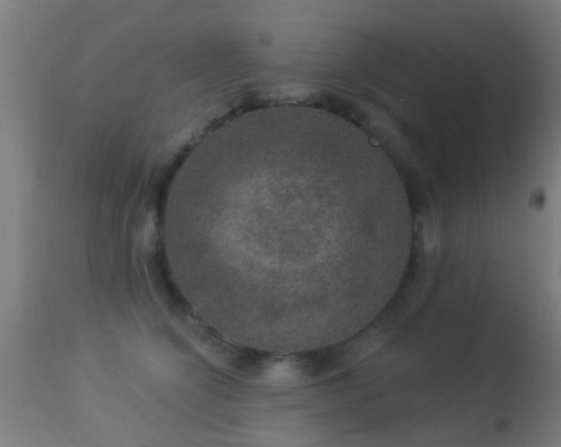 X0000113280564200909211042