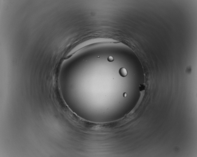 X0000113280568200909211042