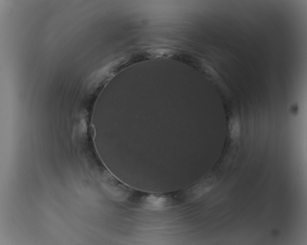 X0000113280570200909211042