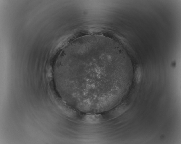 X0000113280571200909211042