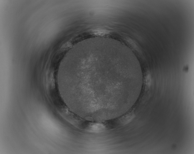 X0000113280572200909211042