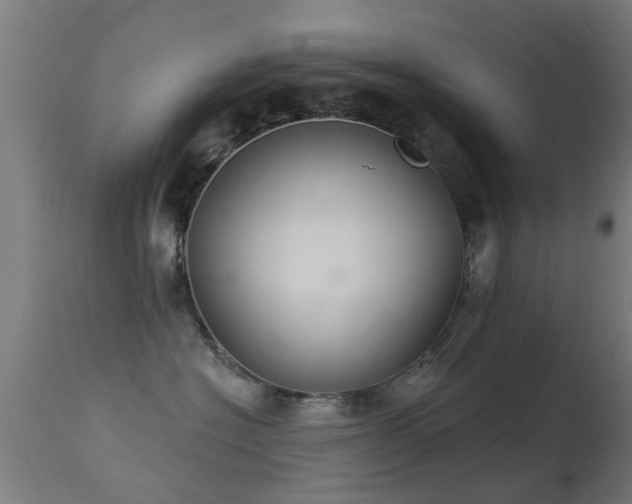 X0000113280574200909211042