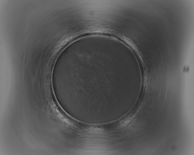 X0000113280577200909211041