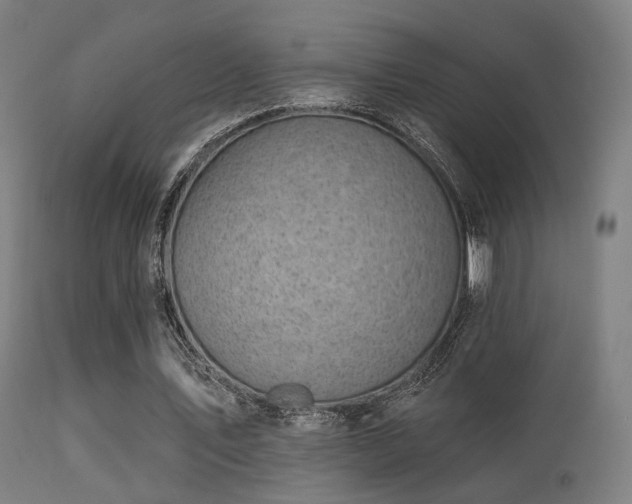 X0000113280579200909211041