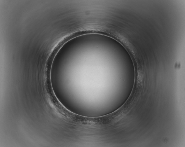 X0000113280580200909211041