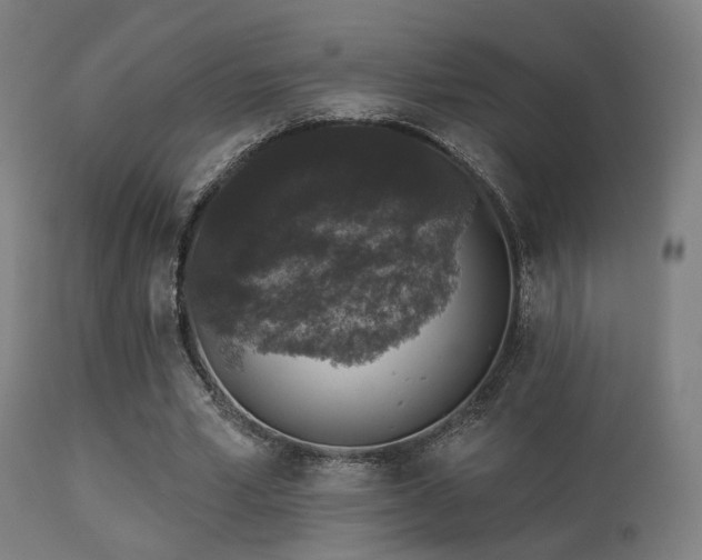 X0000113280581200909211041