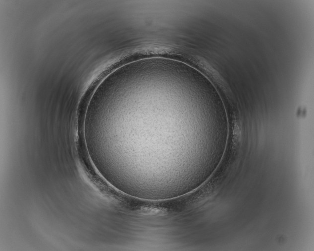 X0000113280582200909211041