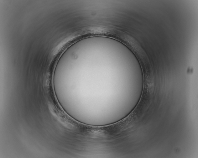 X0000113280583200909211041