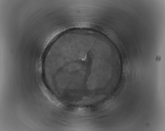 X0000113280584200909211041