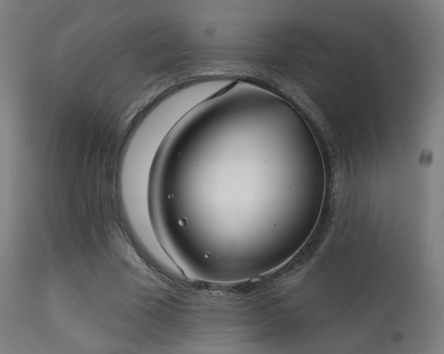 X0000113280585200909211041