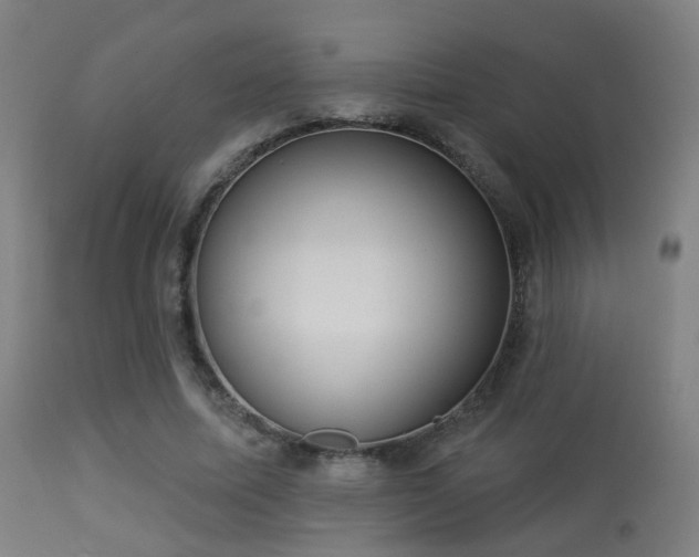 X0000113280587200909211041