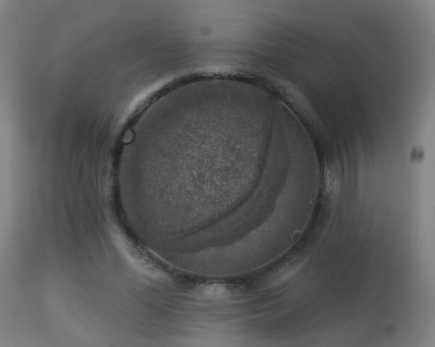 X0000113280588200909211041