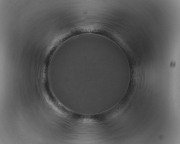 X0000113280590200909211041