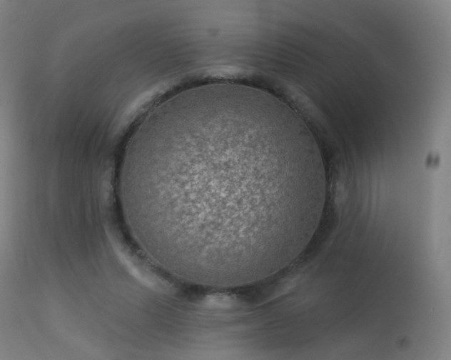 X0000113280591200909211041