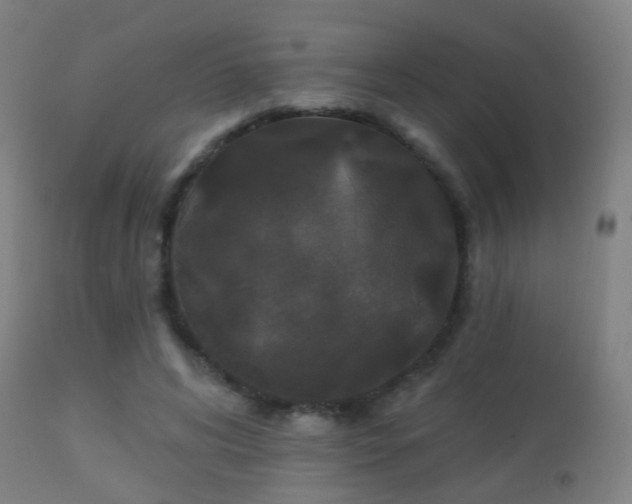 X0000113280592200909211041