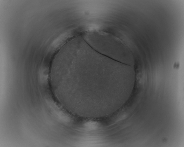 X0000113280593200909211041