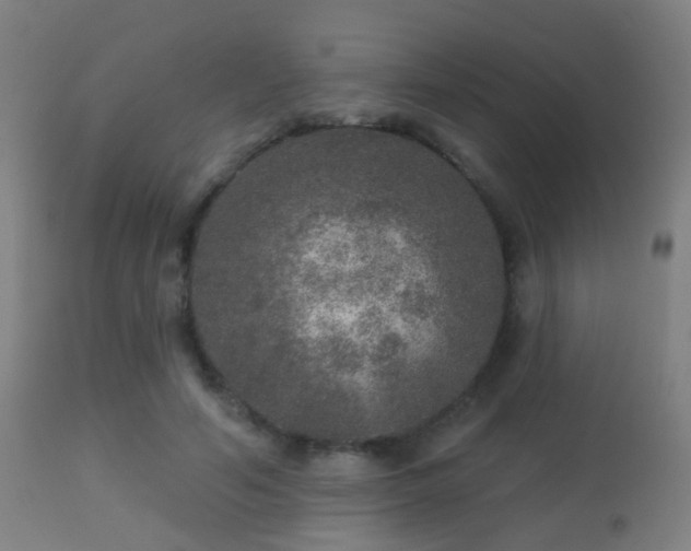 X0000113280594200909211041