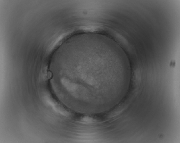 X0000113280596200909211041