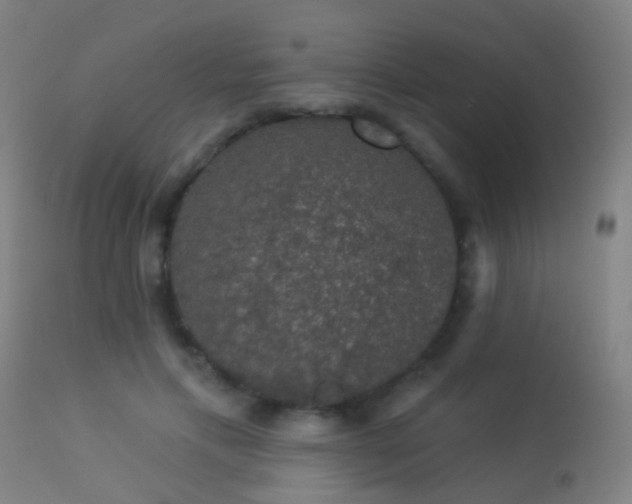 X0000113280597200909211041