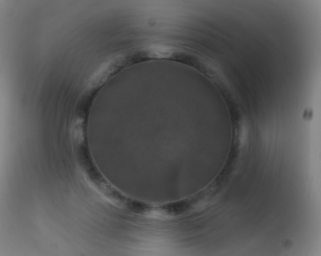 X0000113280598200909211041