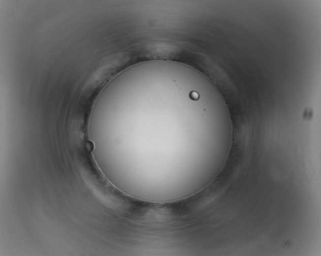 X0000113280599200909211041