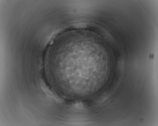 X0000113280600200909211041