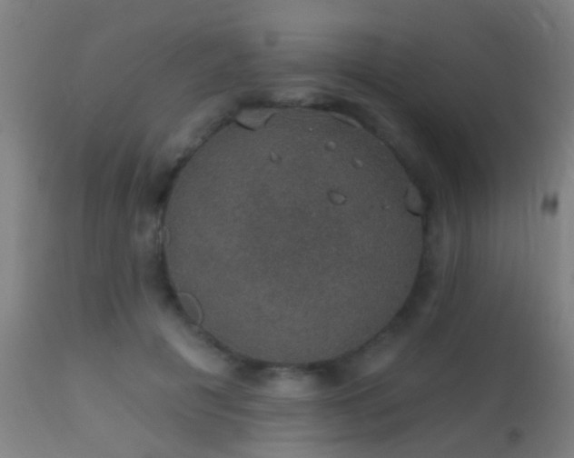 X0000113280601200909211041