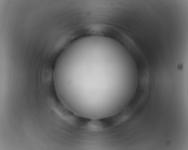 X0000113280603200909211041