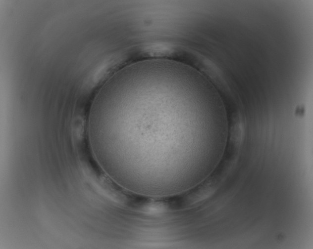 X0000113280604200909211041