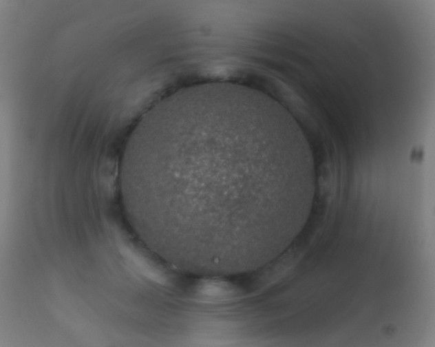 X0000113280605200909211041