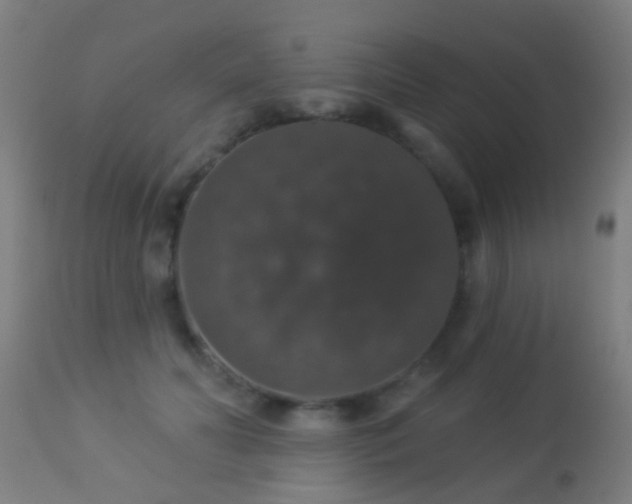 X0000113280606200909211041