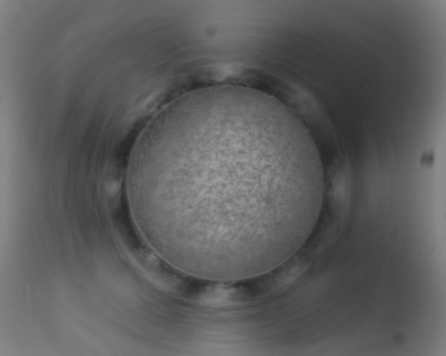 X0000113280607200909211041