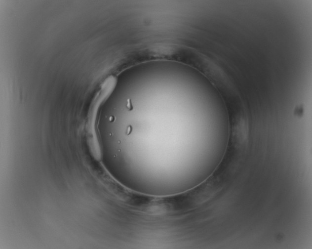 X0000113280608200909211041