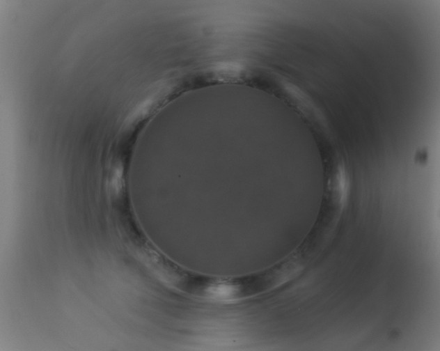 X0000113280610200909211041