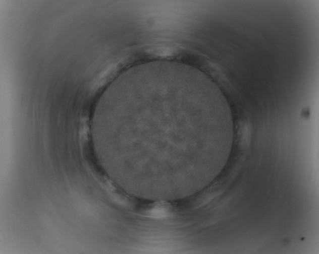 X0000113280612200909211041