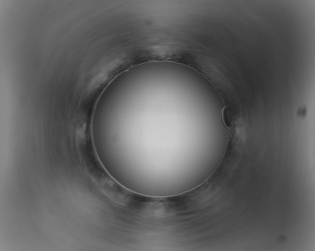 X0000113280615200909211041