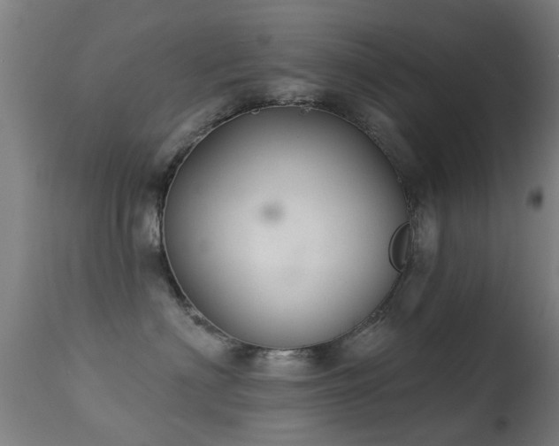 X0000113280622200909211041