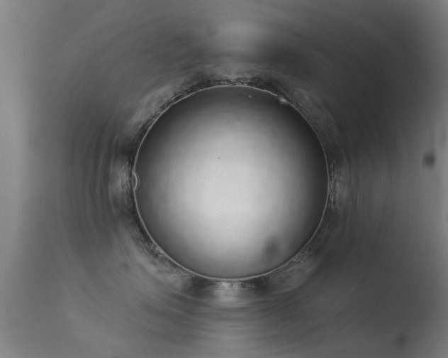 X0000113280623200909211041