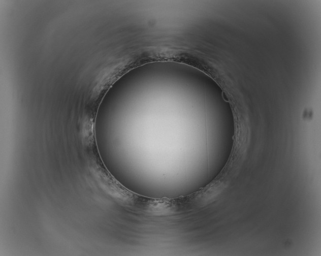 X0000113280624200909211041