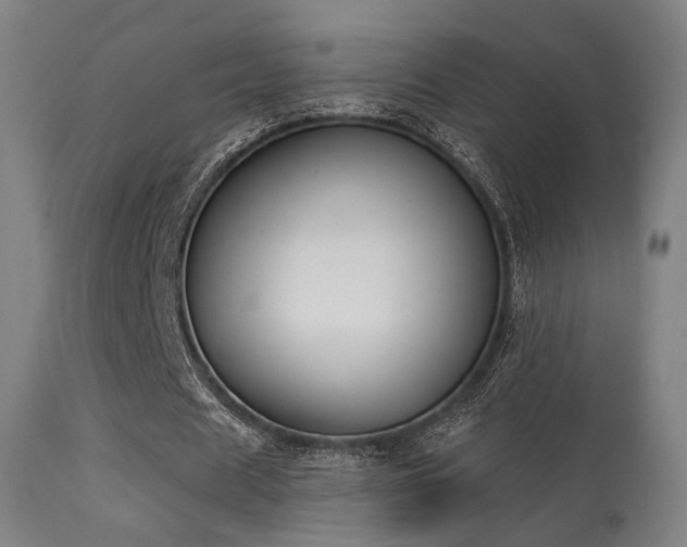 X0000113280625200909211040