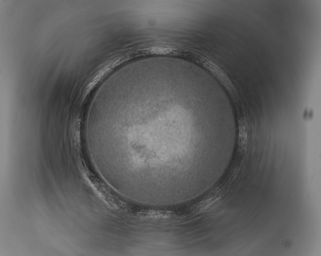 X0000113280626200909211040