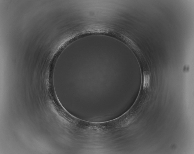 X0000113280627200909211040