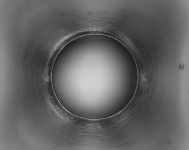 X0000113280628200909211040