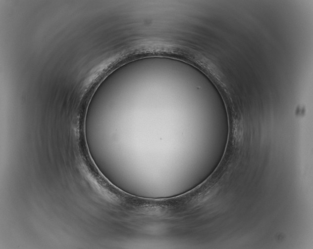 X0000113280629200909211040